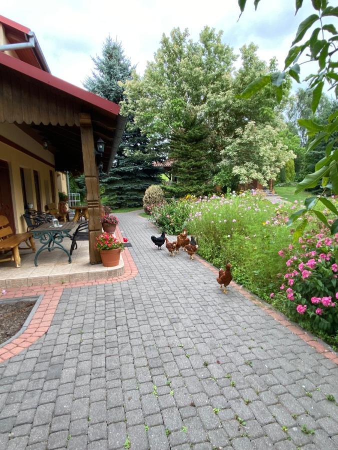 Villa Agroturystyka Pod Podkowa Mrągowo Exterior foto