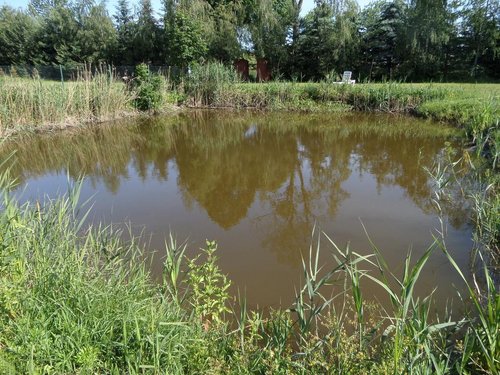 Villa Agroturystyka Pod Podkowa Mrągowo Exterior foto