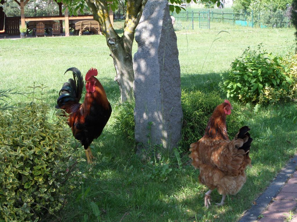 Villa Agroturystyka Pod Podkowa Mrągowo Exterior foto